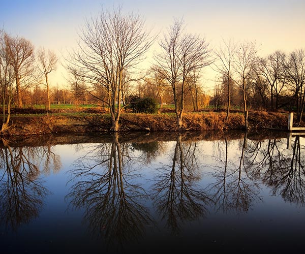 trees with no leaves in autumn beside a body of water